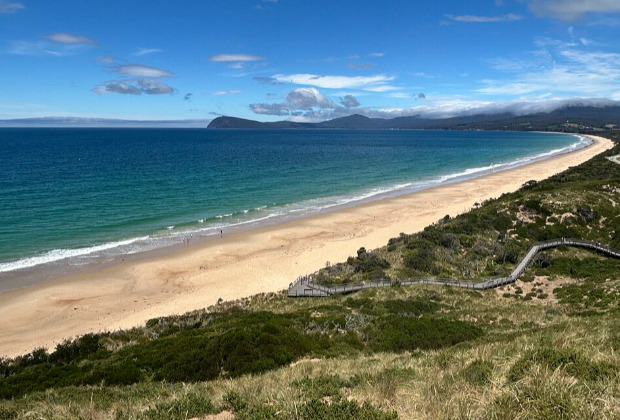 Shark injures diver near Adventure Bay off Australia's Tasmania