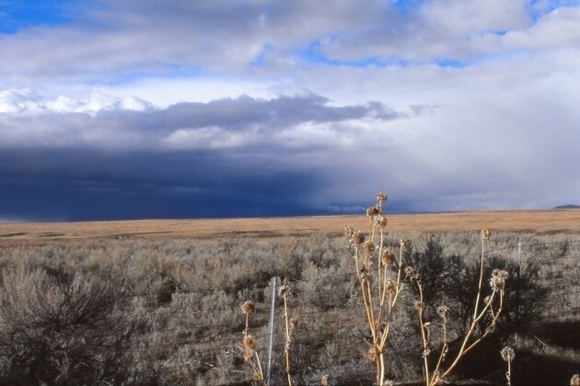 BLM director nominee faces opposition in ID for public lands sale push