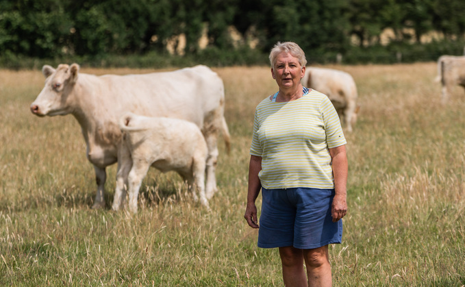 Cow skirt yorkshire best sale