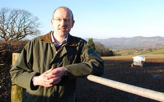 Welsh Government urged not to 'wait until it is too late' to introduce bird flu housing measures
