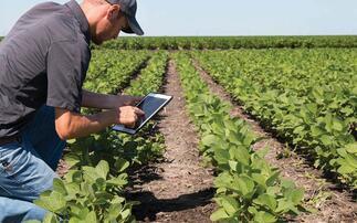 Regional agronomy: Disease pressure meets weather stress