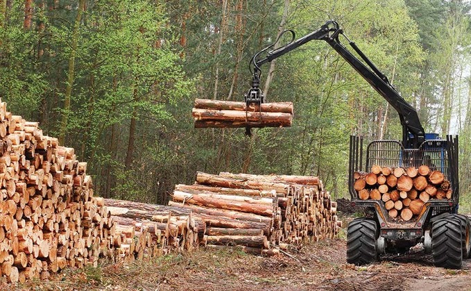 UK forestry sector continues to grow
