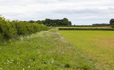 Fury as government closes Sustainable Farming Incentive scheme to new applications