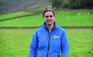 Investment needed to halt 'worrying decline' in beef cattle numbers