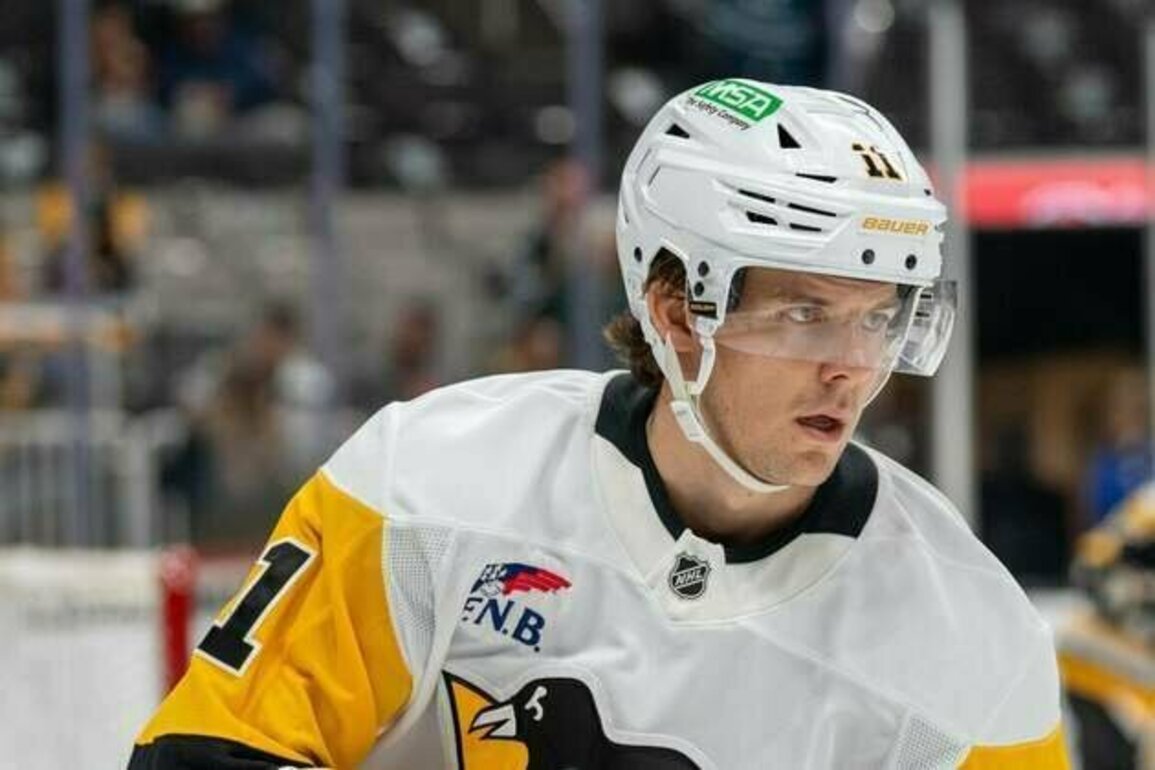 Penguins F Filip Hallander (blood clot) expected out at least 3 months