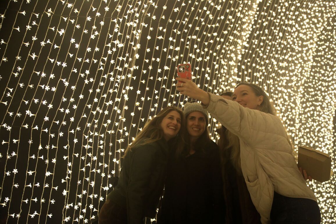 U.S.-SAN FRANCISCO-BOTANICAL GARDEN-LIGHTSCAPE