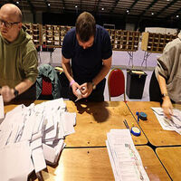 Almost 40% of Ireland’s voters unsure who they want as next president
