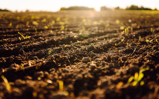 Farmer shares how her regenerative journey made her proud of being a farmer again
