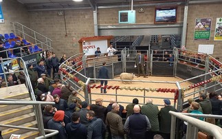 Exciting times ahead for Wigton auction mart