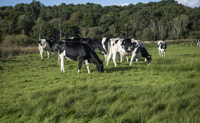 Hope is not enough to see dairy farmers through