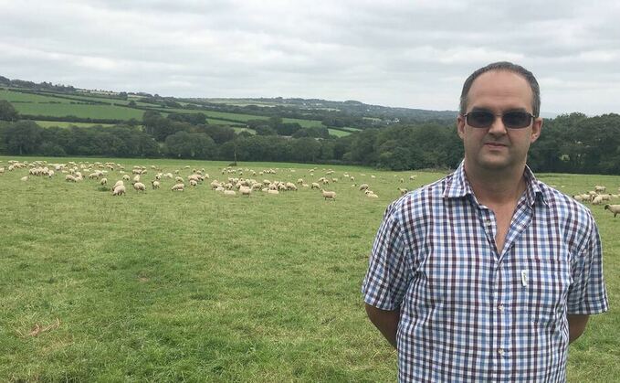 New AHDB service helps Cornish farmer prepare for post-BPS world