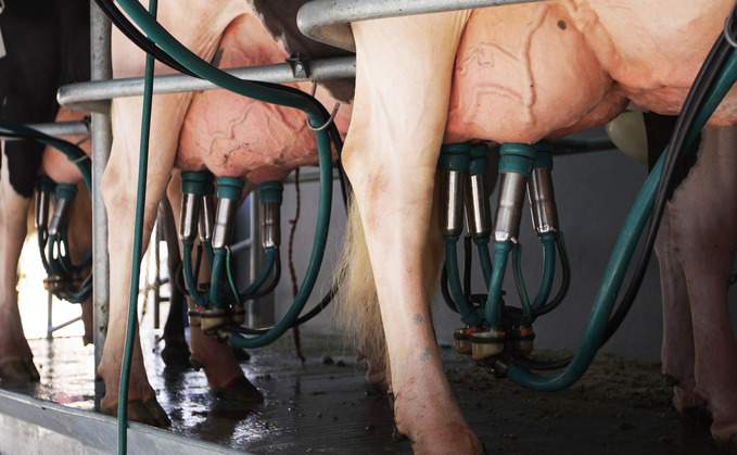 Year of boom and bust for UK dairy farms