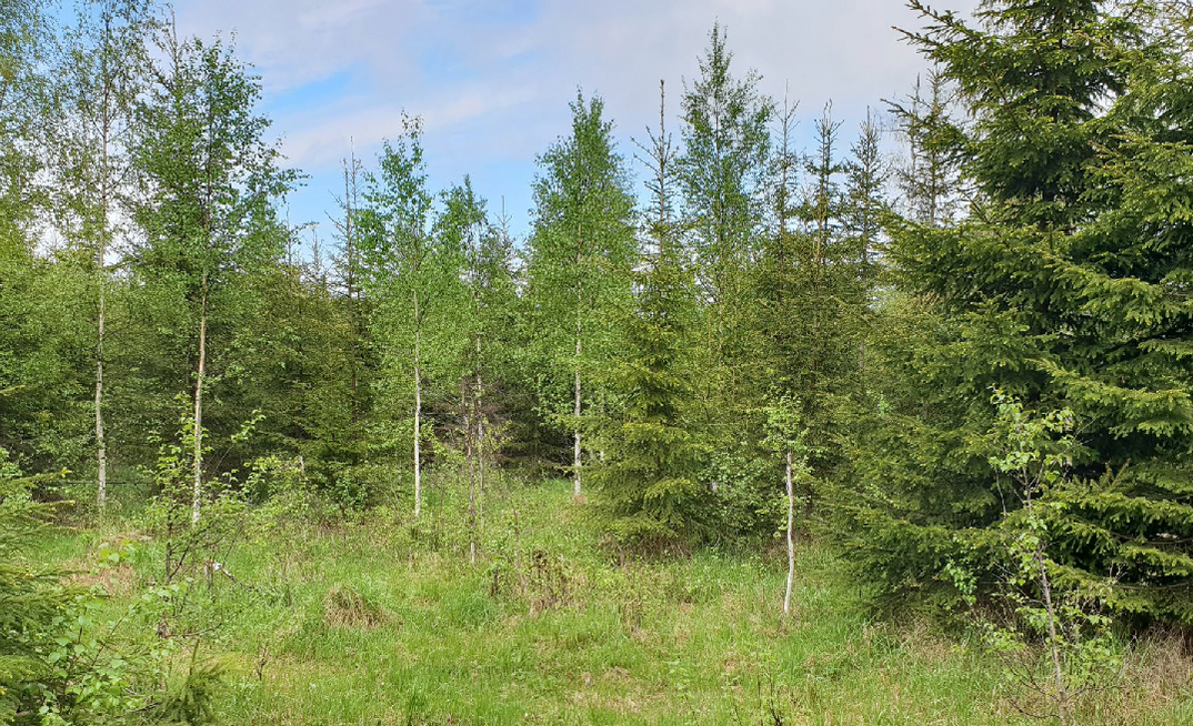 New chapter looks in the offing at Parsons-backed Alicanto