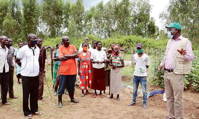 Vegetables improve incomes in Omugo Vegetables improve incomes in Omugo