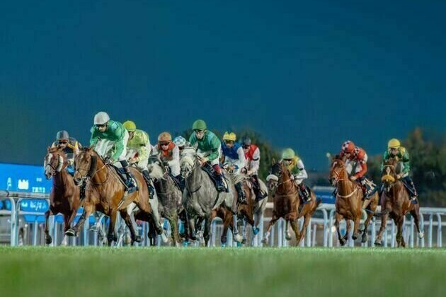 Abu Dhabi Turf Club features 16 races during 2025-2026 season