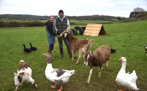 Pygmy goats, pigs and pumpkins – multiple enterprises vital to success of new entrants