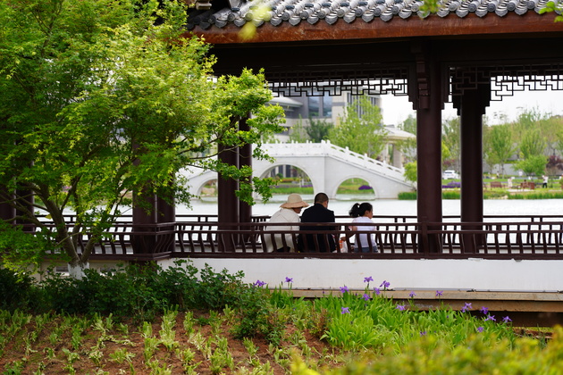 CHINA-SHANXI-JINCHENG-HEALTH AND WELLNESS DEMONSTRATION ZONE (CN)