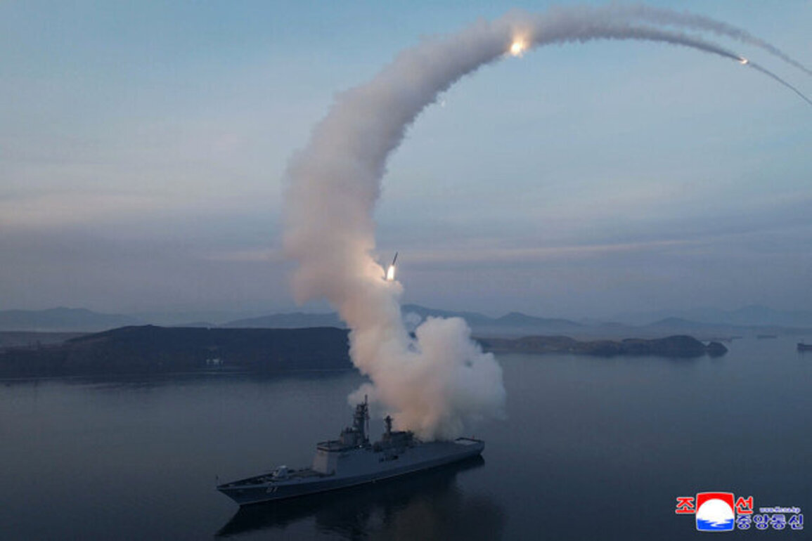 DPRK destroyer test-fires strategic cruise missiles, KCNA reports
