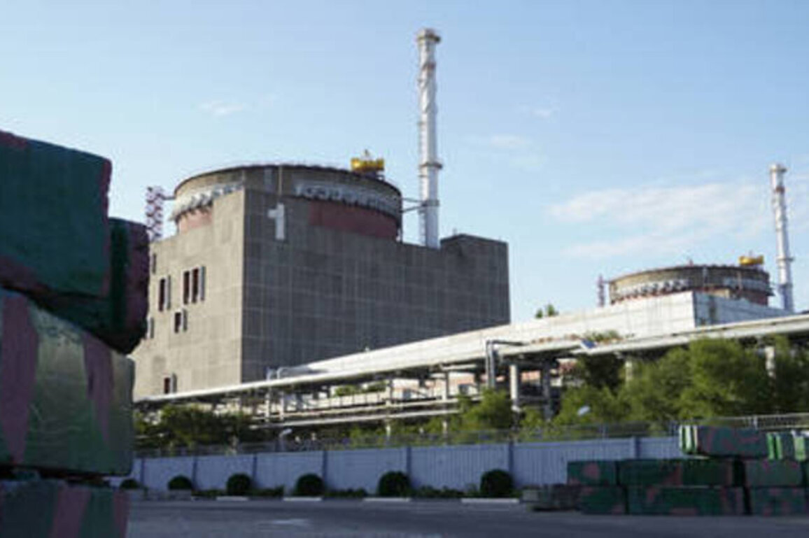 Zelensky's rhetoric suggests Kiev plans to attack nuclear plant - Kremlin