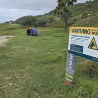 Police investigate possible dingo attack on tourist in Australia
