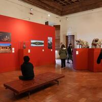 China-Italy world heritage sites partnerships hold great potential: Italian villa director