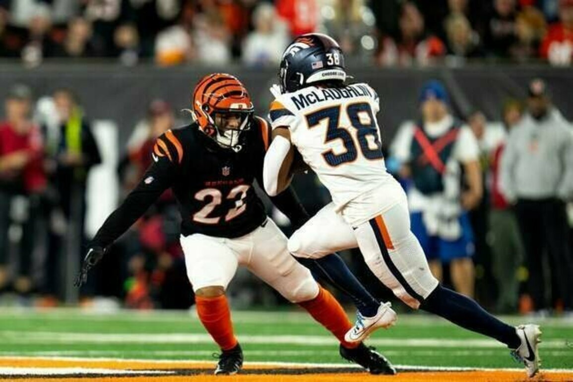 Bengals S Geno Stone week-to-week after exiting preseason opener