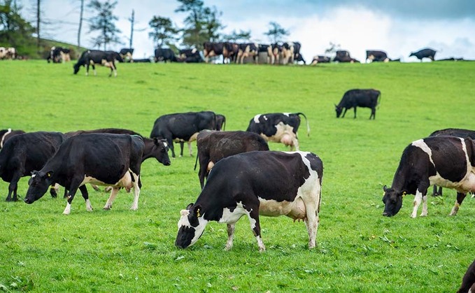 Scottish dairy farm numbers continue to fall