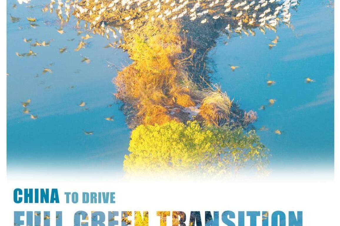 InPics | China to drive full green transition and build a Beautiful China during 15th Five-Year Plan period
