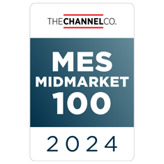 MES Midmarket 100