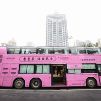 HainanOutlook | Sip the charm of Hainan's tourism on the Laobacha Haikou Bus