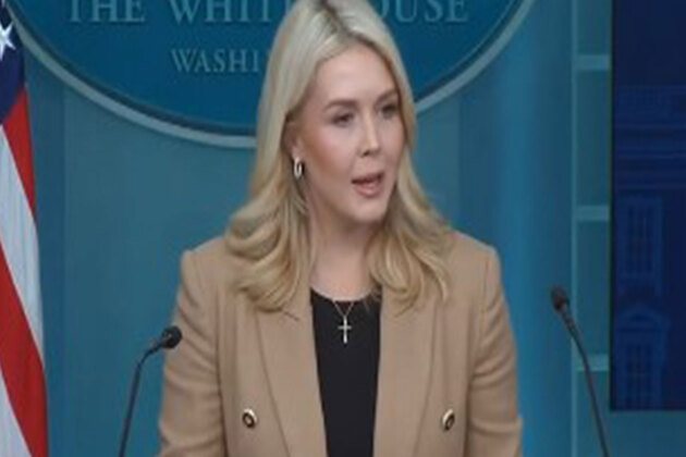 "President wants to acquire Greenland for our best national security": White House