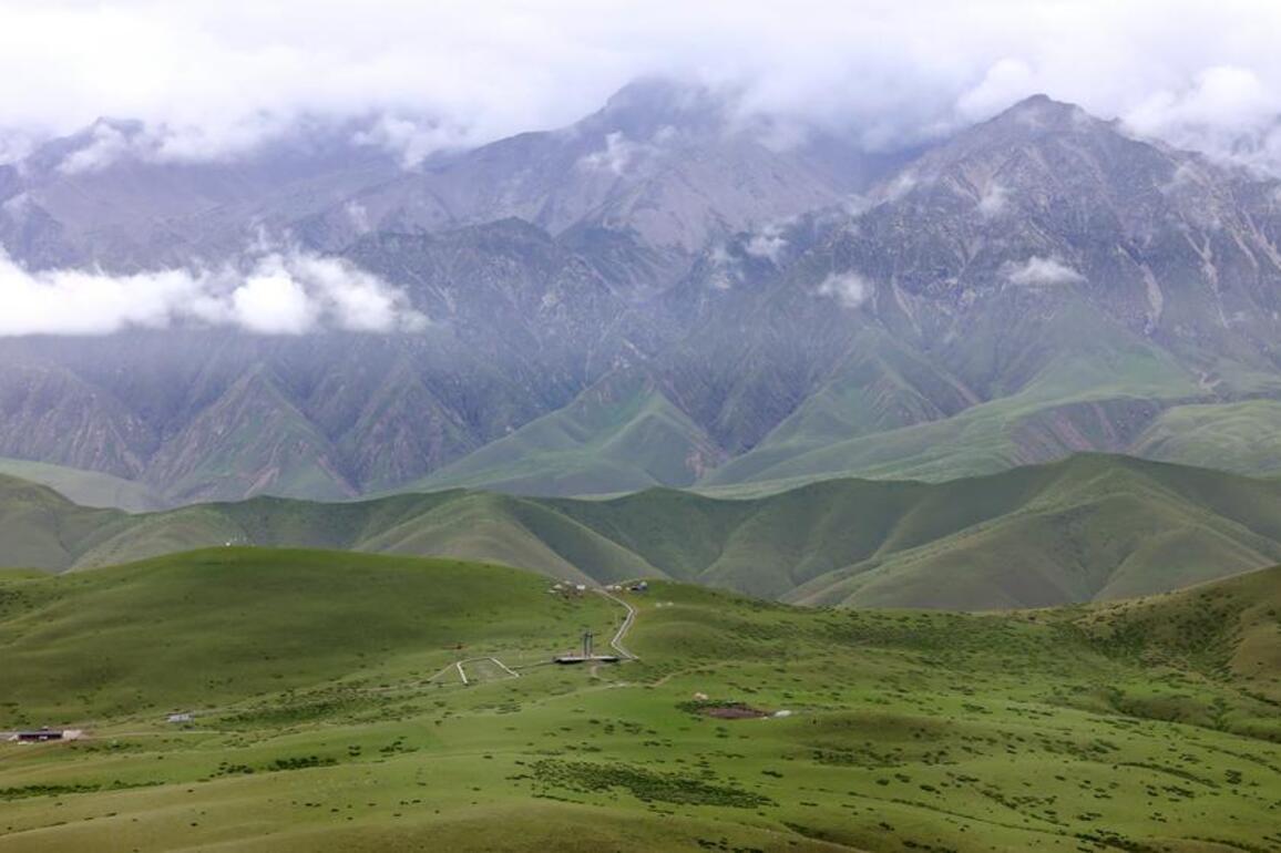 China to establish Central Asia plant database to boost biodiversity conservation