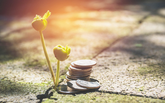 The government launched the UK’s Green Financing Programme last year