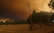 Two dead and 143 properties decimated in WA fires