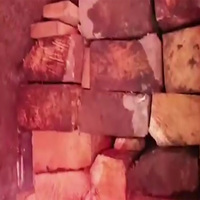 PoJK: Massive timber smuggling network exposed in Neelum valley
