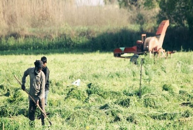 Researchers say mental health care for farmers requires major overhaul