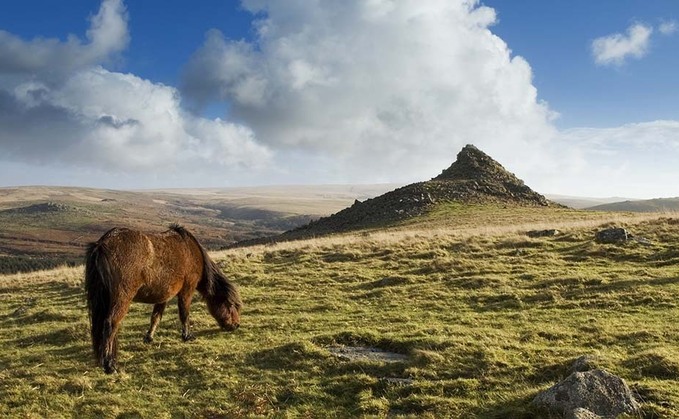 Farmer anger over peatland restoration project