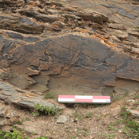 Photo Flash | China discovers highest-altitude Qin Dynasty engraved stone on Qinghai-Tibet Plateau
