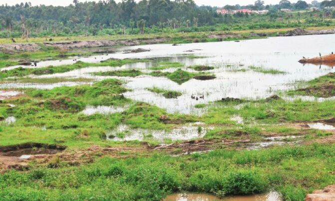 Only strict laws could salvage Lake Victoria Only strict laws could salvage Lake Victoria