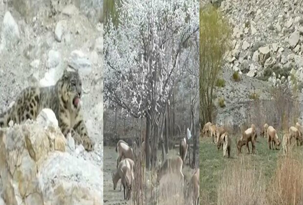 Rise in average temperatures shifts season cycle in Gilgit-Baltistan