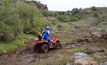 Quad bike safety under the microscope