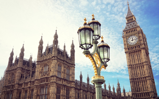 'Critical': Peers slam government for inaction on long-duration energy storage 