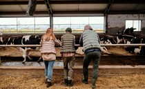 Farming Matters: "The 'family farm tax' conjures up some image of a bucolic rural idyll which is being destroyed"