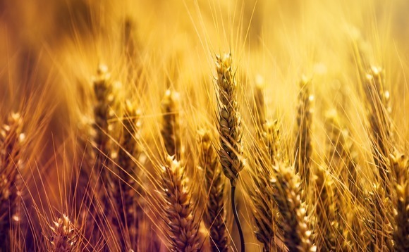 PE investors commit $500m to India agribusiness giant UPL