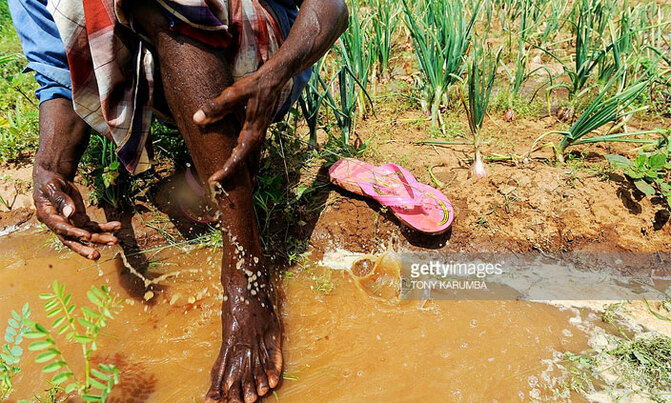 Rivers turn to dust as drought bites Somalia Rivers turn to dust as drought bites Somalia