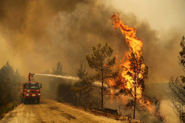 Over 50,000 evacuated as Turkiye battles Izmir wildfires for second day