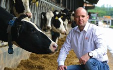 Establish genetic potential of a heifer by genomic testing