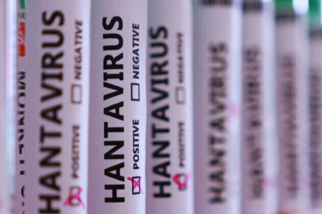 Hantavirus Cruise Crisis: Spain Begins Evacuations