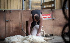 Renowned shearer, Matt Smith: "We are seriously motivated to go the extra mile to win this time"