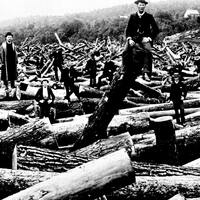 Brown- Why have regulations when you can have safety shanties&quest;